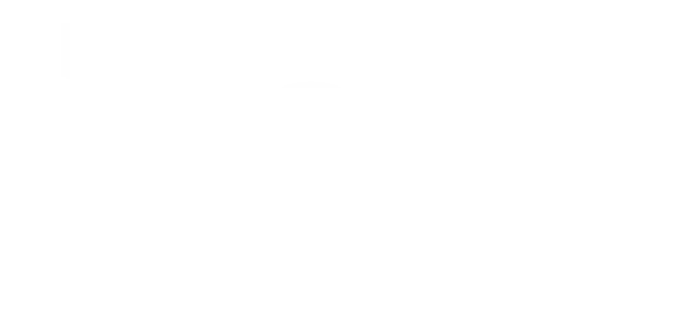 TMII